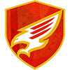 Falcons FC logo