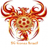 SC Cones Brasil logo