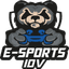 FVVP IDV ESPORTS