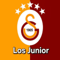 Los Junior  logo