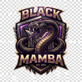 Black Mamba AC logo
