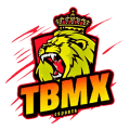 The Bests Mex logo
