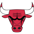 VPN Bulls logo