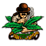 CUATRO20 logo