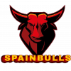SPAINBULLS FC logo