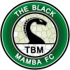 [ONE] TBM Stars FC logo