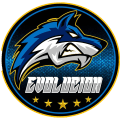 Evolucion FC x logo