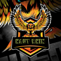 HAUT RHIN VPF  logo