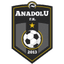 Anadolu FK
