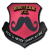 Bigoteam FC logo