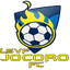 LSVP JOCORO F.C. XBOX