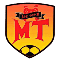 ChapinToys MT logo