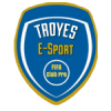 Troyes eSport WE logo
