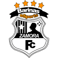 FVVP ZAMORA ESPORTS logo