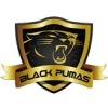 Black Pumas VC logo