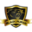 Black Pumas VC