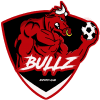 BULLZ ESPORTS logo