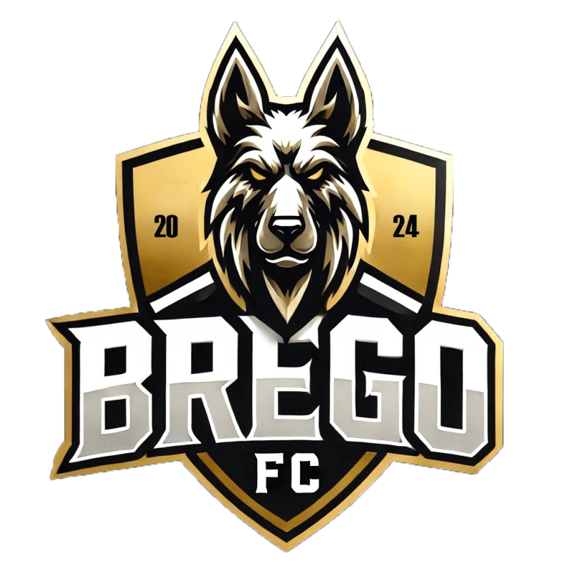 FVVP BREGO FC logo