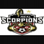 REAL SCORPIONS YGI