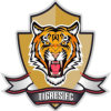 VPN Tigres Co logo