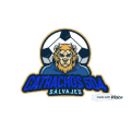 Catrachos 504 logo