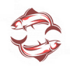 Saumons United logo