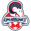 VPN Cimarrones logo