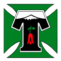 VPN TEMUCO logo