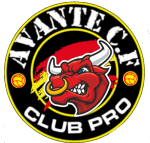 [PS4] Avante CF logo
