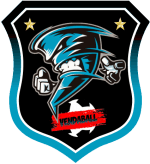 [PS4] VendaBALL FC logo