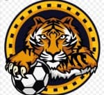 FC Miano logo