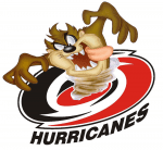 NV Hurricanes logo