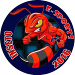 Inseto FC logo