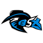 Black Shadow XI logo