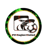 Skyeagles logo