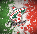 Vamos cF logo