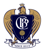VFL Barrio logo