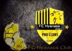 Fc Hyenass club logo