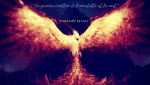 ImP PhoeniX logo