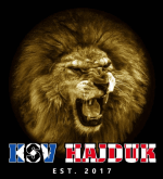 RAWHSV Hajduk logo