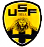 Usual footballe logo