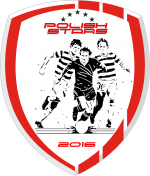 PolishStars logo