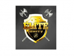 Elite Unity logo