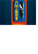 FC Corsicaa logo