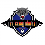Fc Crazy Eleven logo