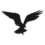 AllBlack FC logo
