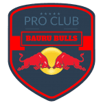 BAURU BULLS logo