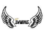 Divine Gaming logo
