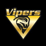 VIPERS logo