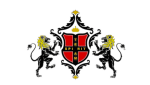 Team Spirit logo